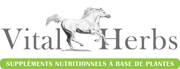 Logo Vitalherbs