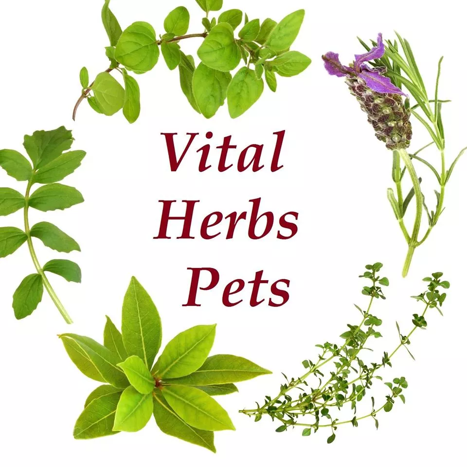 logo Vitalherbs Pets