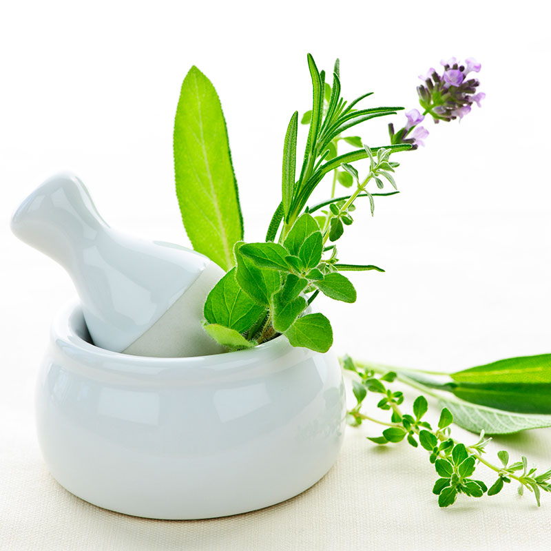 Mélanges de plantes