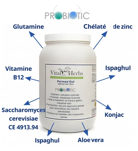 Permea Gut : Le Gardien de la Santé Intestinale de Votre Cheval