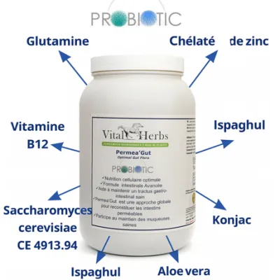 Permea Gut : Le Gardien de la Santé Intestinale de Votre Cheval