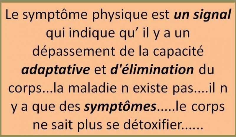 Perméabilité intestinale chez les chiens et chats, la porte ouverte aux pathologies !