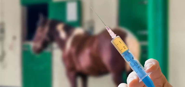 Mes pensées sur la vaccination des chevaux