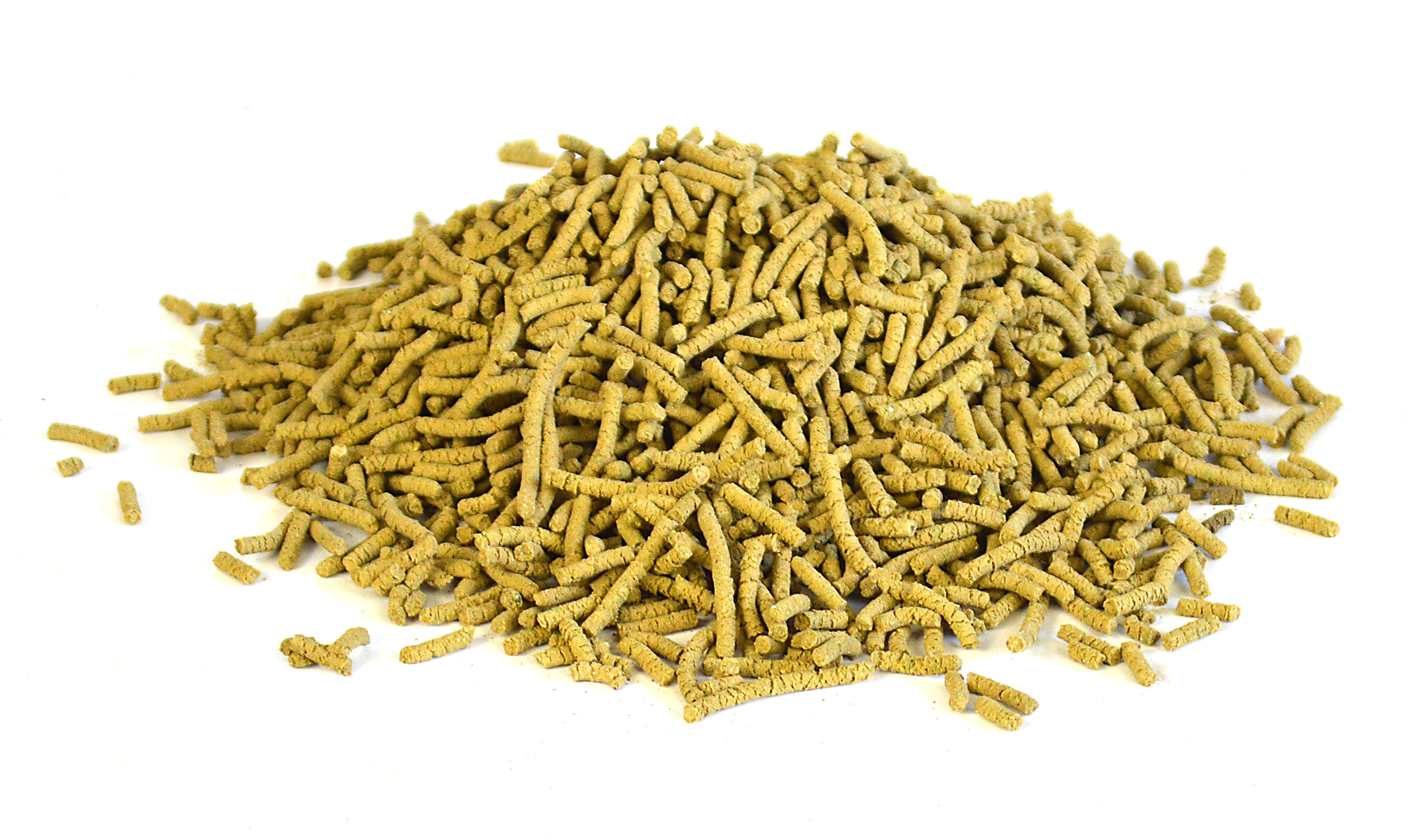 Biotine Forte