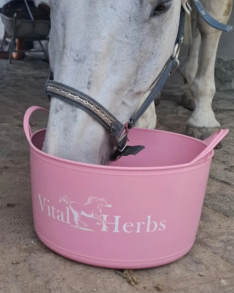 Seau Vital'Herbs ROSE
