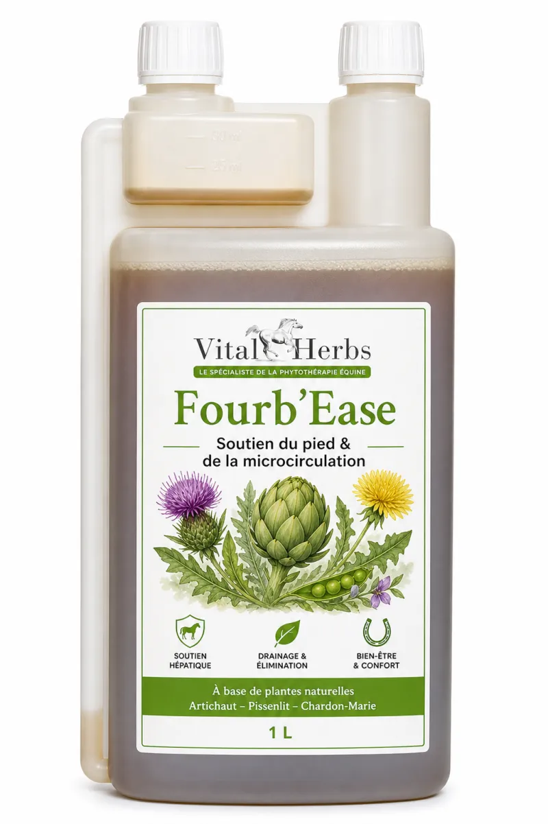 Fourb'Ease
