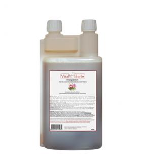 Harpagophytum Liquide