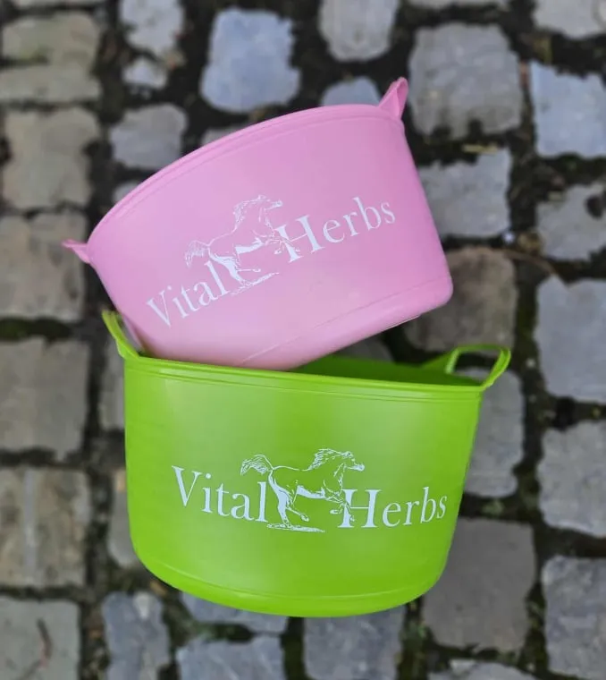 Seau Vital'Herbs ROSE