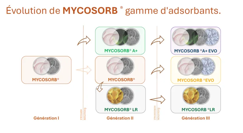 Mycosorb A+ EVA toxin binder