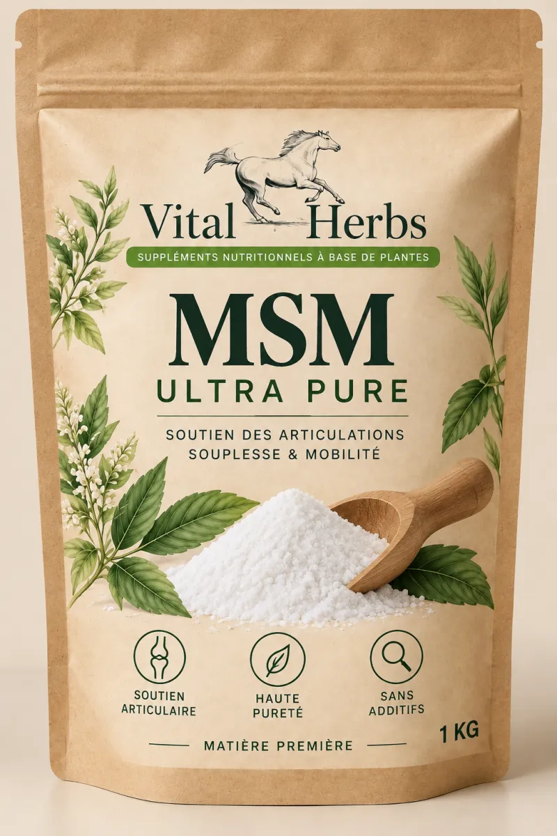 MSM puur