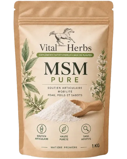 MSM puur