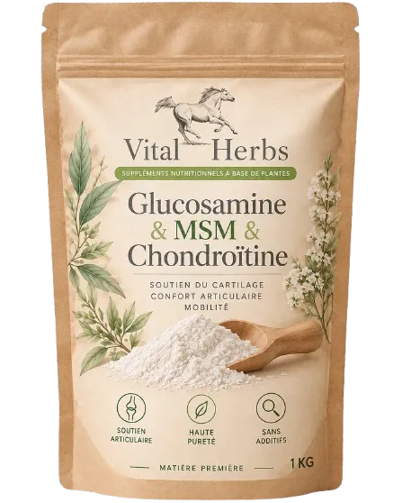 Glucosamine & MSM & Chondroitine