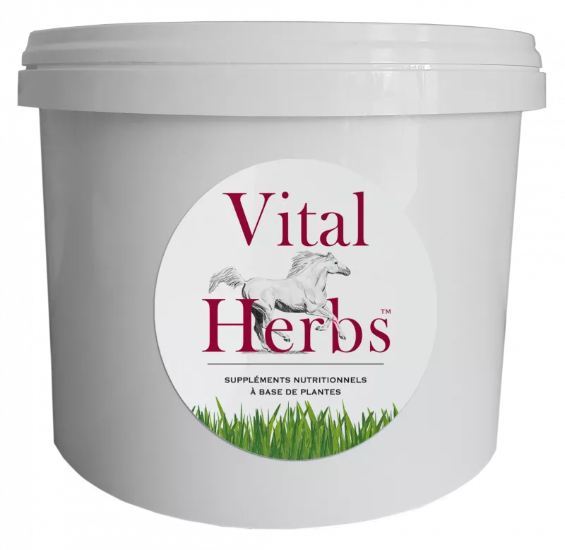 Empty bucket Vital'Herbs