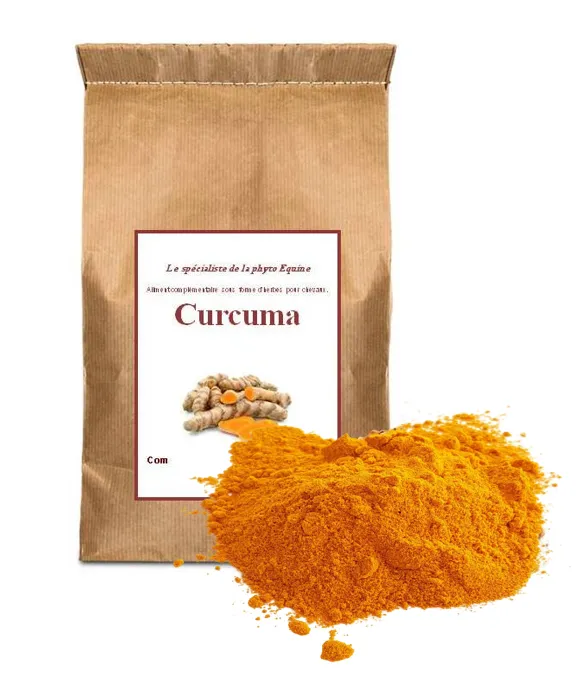 Kurcuma