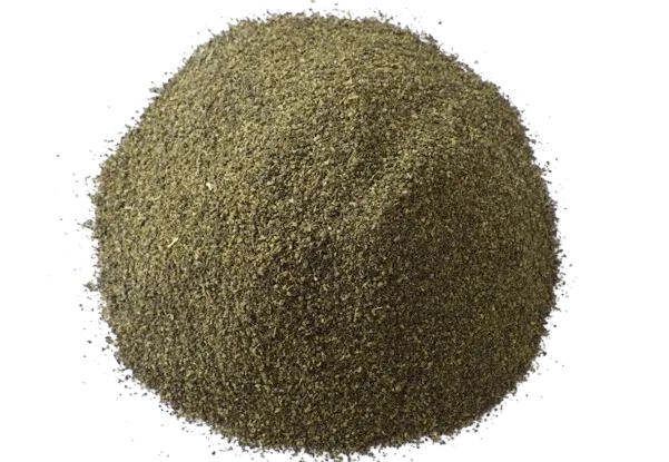 Algues Ascophyllum Nodosum