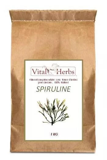 Spirulinea Vermicelli