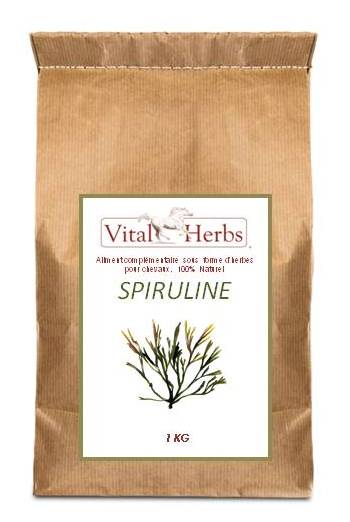 Spirulinea Vermicelli