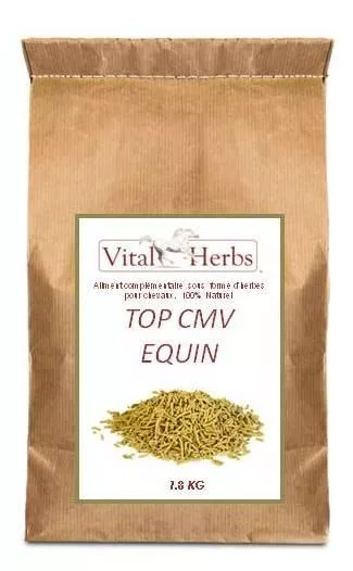 Top CMV Equin